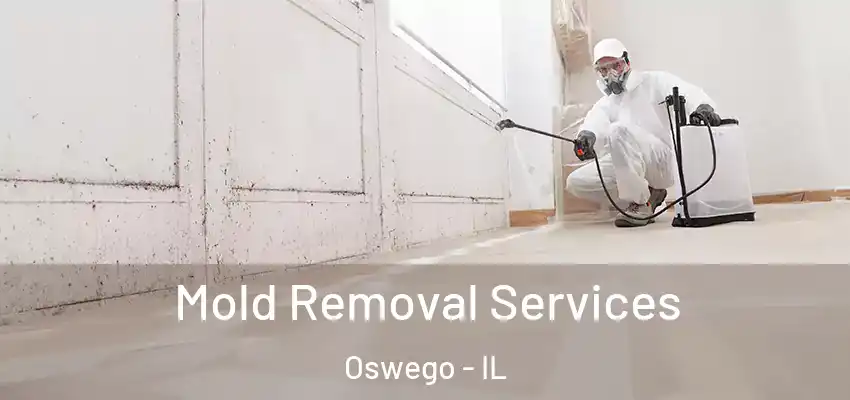  Mold Removal Services Oswego - IL