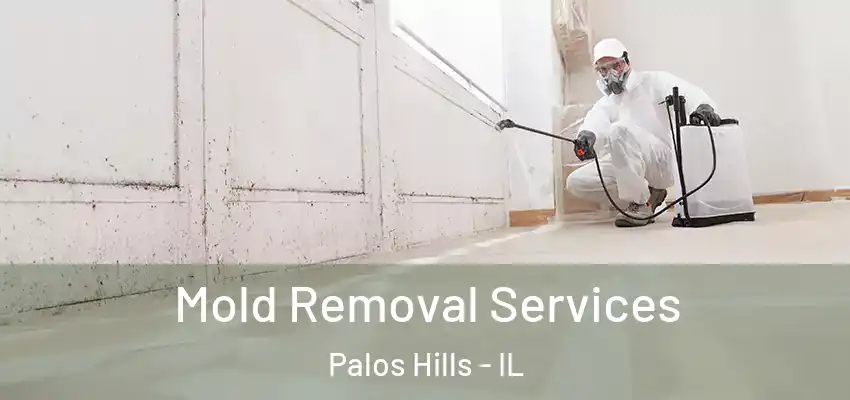  Mold Removal Services Palos Hills - IL
