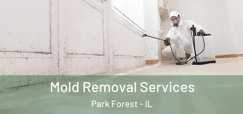  Mold Removal Services Park Forest - IL