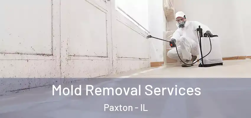  Mold Removal Services Paxton - IL