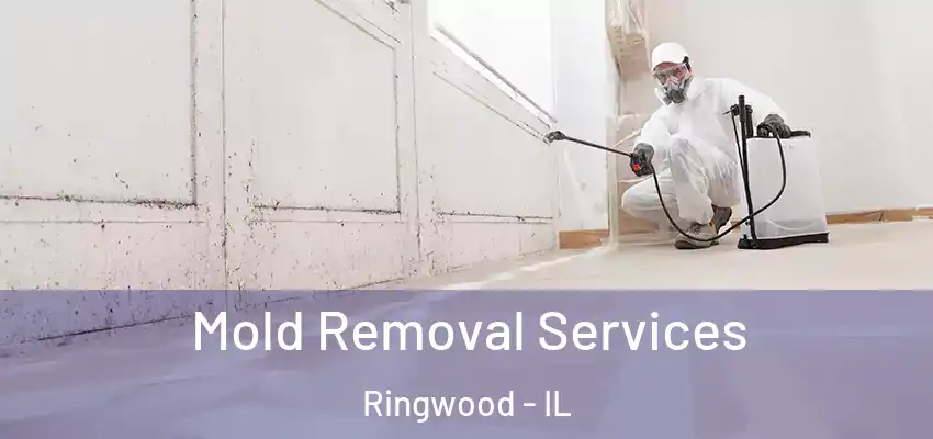  Mold Removal Services Ringwood - IL