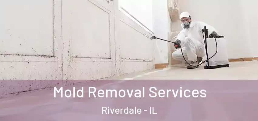  Mold Removal Services Riverdale - IL