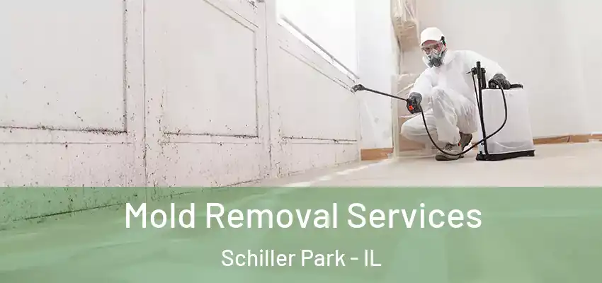  Mold Removal Services Schiller Park - IL