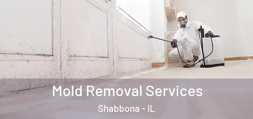 Mold Removal Services Shabbona - IL