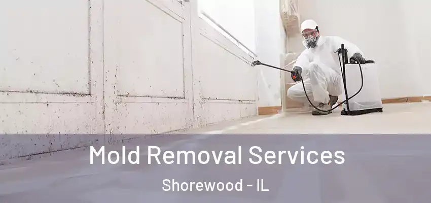  Mold Removal Services Shorewood - IL