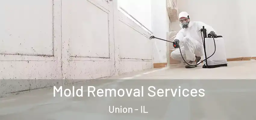  Mold Removal Services Union - IL