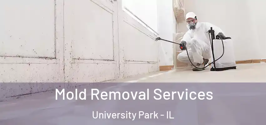 Mold Removal Services University Park - IL
