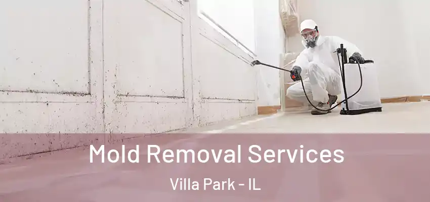  Mold Removal Services Villa Park - IL