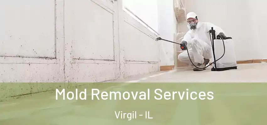  Mold Removal Services Virgil - IL