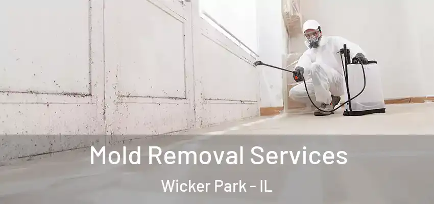  Mold Removal Services Wicker Park - IL