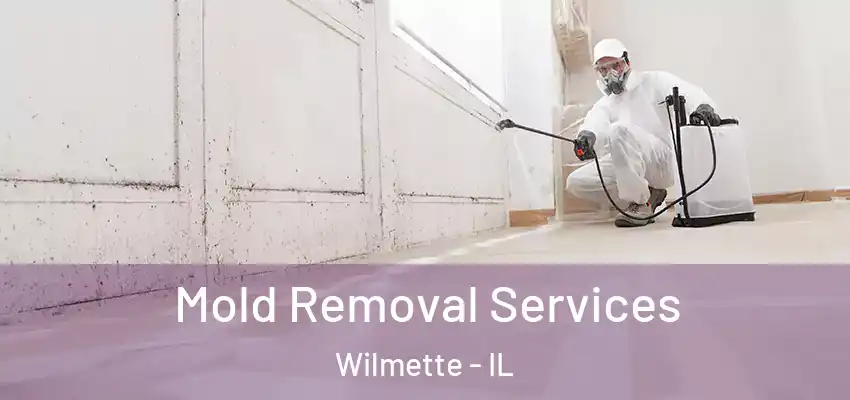  Mold Removal Services Wilmette - IL