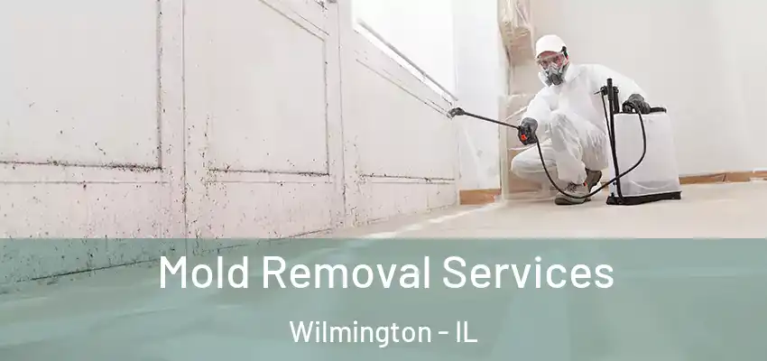  Mold Removal Services Wilmington - IL