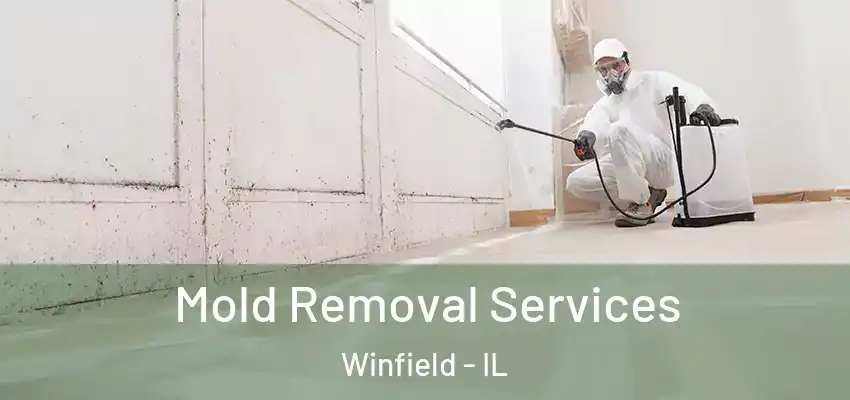  Mold Removal Services Winfield - IL