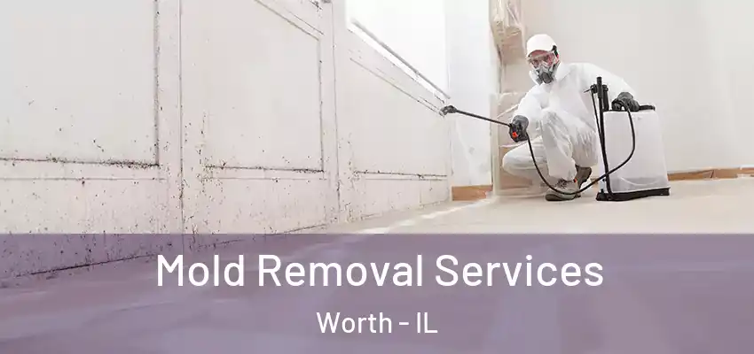  Mold Removal Services Worth - IL