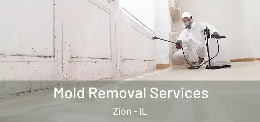  Mold Removal Services Zion - IL