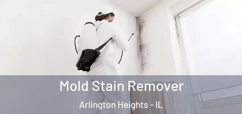  Mold Stain Remover Arlington Heights - IL