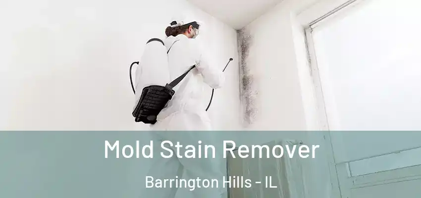  Mold Stain Remover Barrington Hills - IL