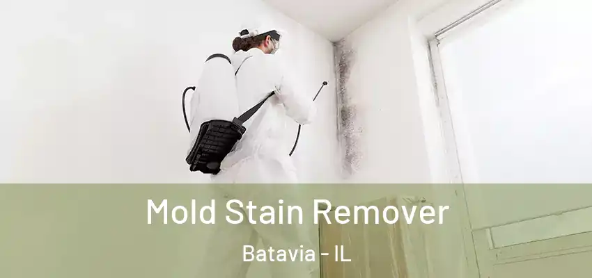 Mold Stain Remover Batavia - IL