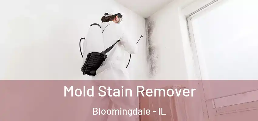 Mold Stain Remover Bloomingdale - IL