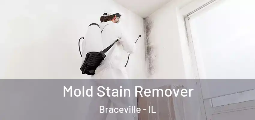 Mold Stain Remover Braceville - IL