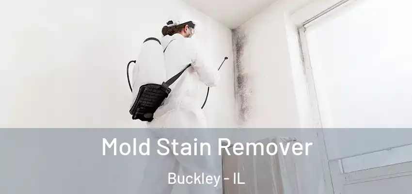  Mold Stain Remover Buckley - IL