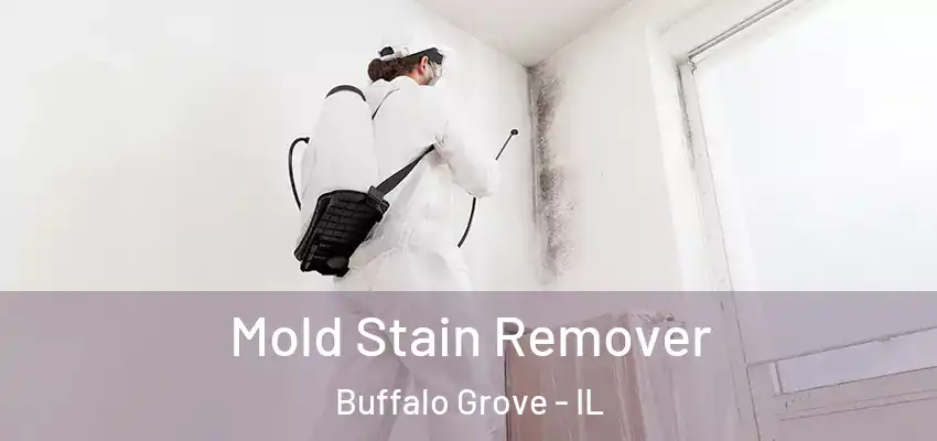 Mold Stain Remover Buffalo Grove - IL