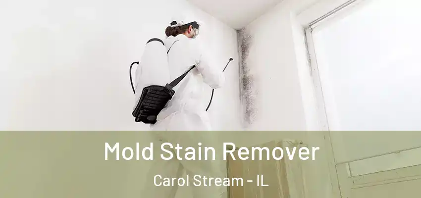  Mold Stain Remover Carol Stream - IL