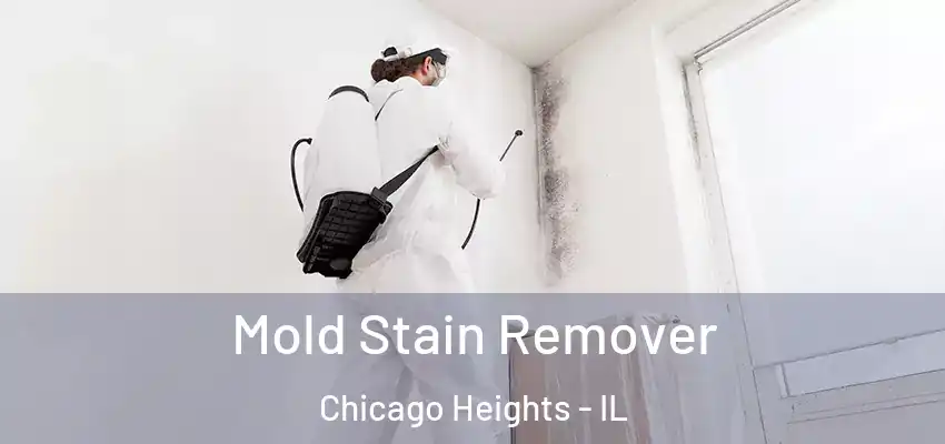  Mold Stain Remover Chicago Heights - IL