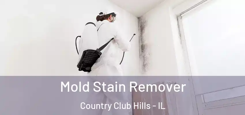 Mold Stain Remover Country Club Hills - IL