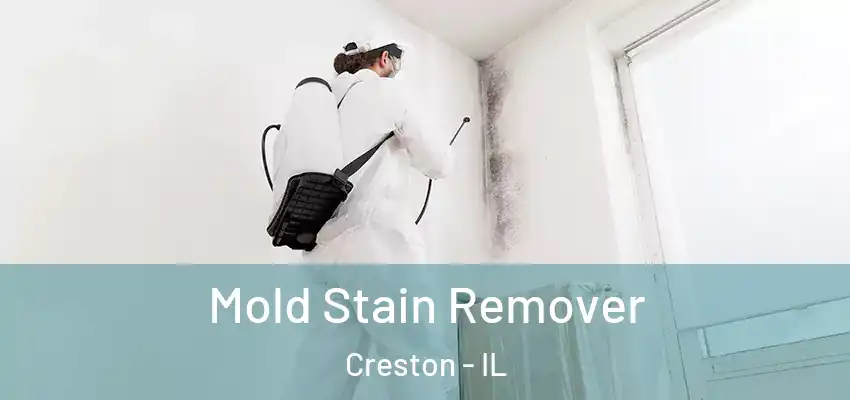 Mold Stain Remover Creston - IL