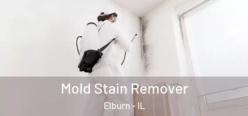  Mold Stain Remover Elburn - IL