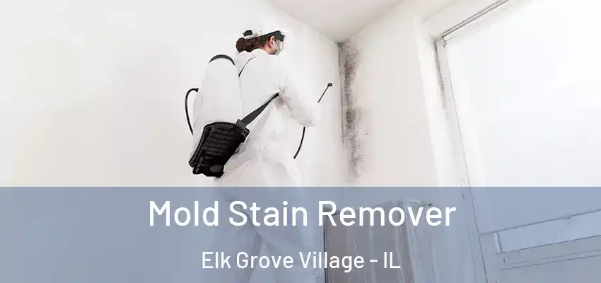  Mold Stain Remover Elk Grove Village - IL