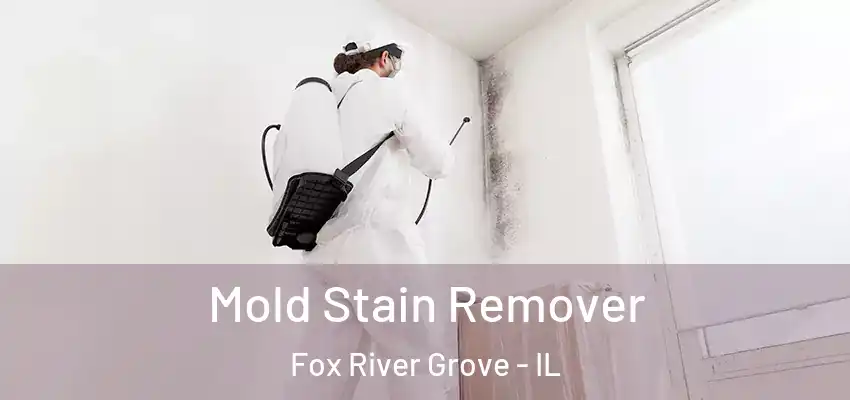  Mold Stain Remover Fox River Grove - IL