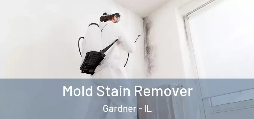  Mold Stain Remover Gardner - IL