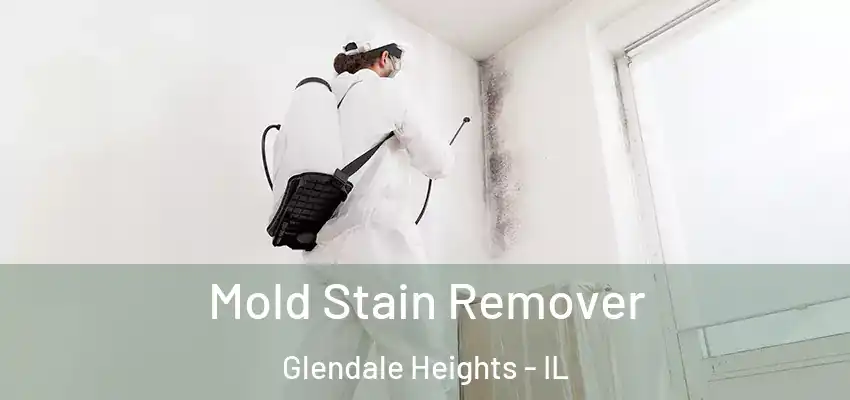  Mold Stain Remover Glendale Heights - IL