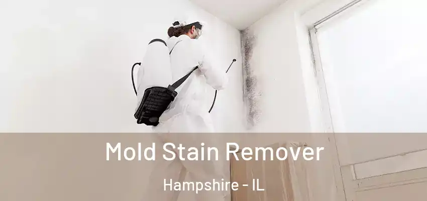 Mold Stain Remover Hampshire - IL