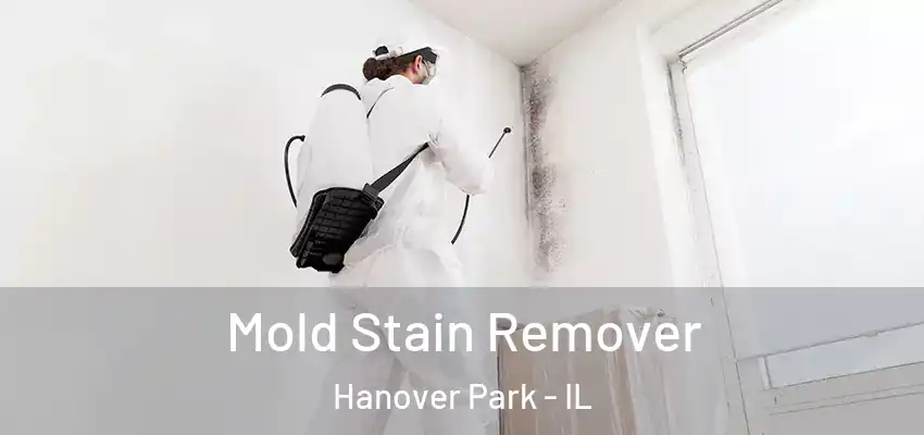 Mold Stain Remover Hanover Park - IL