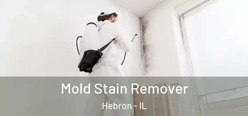  Mold Stain Remover Hebron - IL