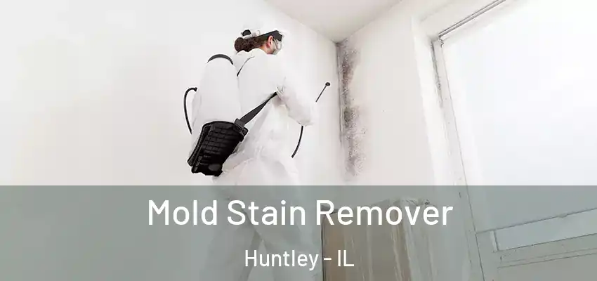  Mold Stain Remover Huntley - IL
