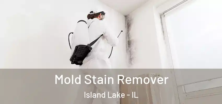  Mold Stain Remover Island Lake - IL