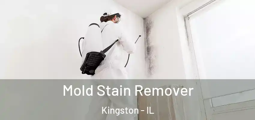  Mold Stain Remover Kingston - IL