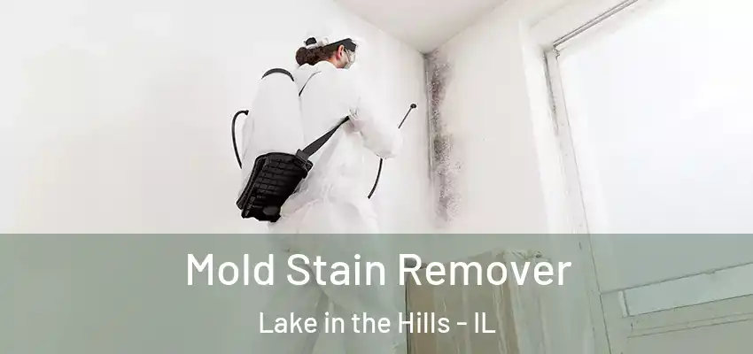 Mold Stain Remover Lake in the Hills - IL