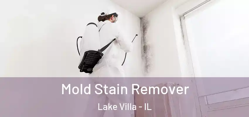  Mold Stain Remover Lake Villa - IL
