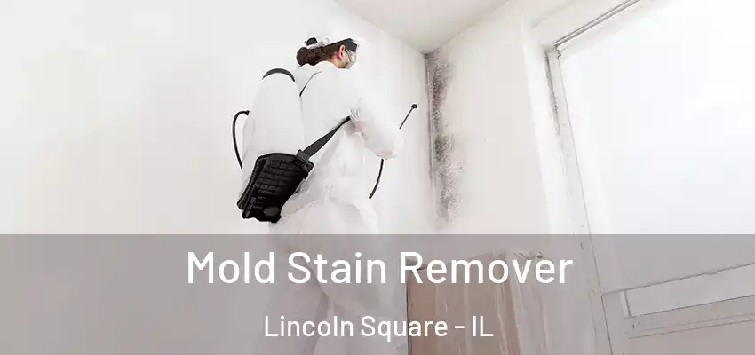  Mold Stain Remover Lincoln Square - IL
