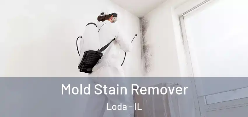 Mold Stain Remover Loda - IL