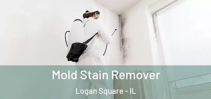  Mold Stain Remover Logan Square - IL