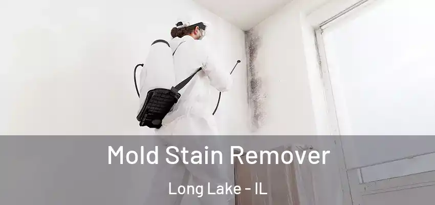 Mold Stain Remover Long Lake - IL
