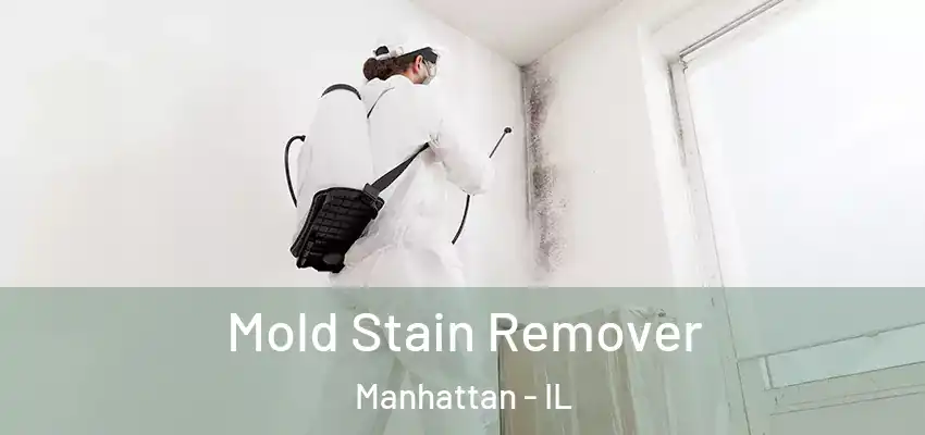  Mold Stain Remover Manhattan - IL