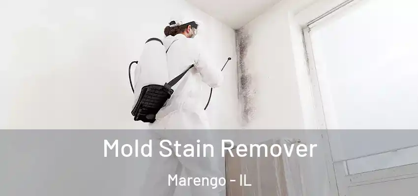  Mold Stain Remover Marengo - IL