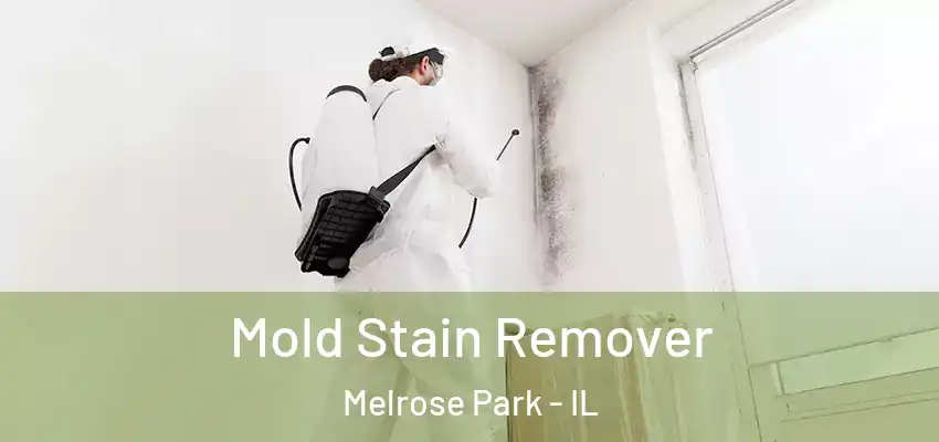  Mold Stain Remover Melrose Park - IL
